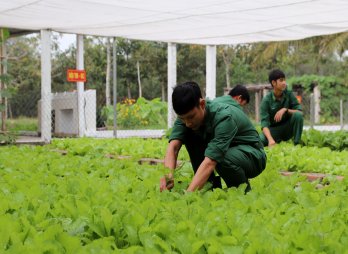 Sắc xanh trên Đồn Biên phòng Thuận Bình