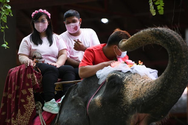 A couple rides an elephant during a Valentine's Day celebration at the Nong Nooch Tropical Garden in Chon Buri on February 14. (Photo: Reuters)