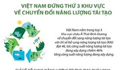 Việt Nam xếp thứ 3 khu vực châu Á-TBD về chuyển đổi năng lượng tái tạo