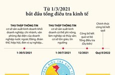 Hình thức và mục đích của tổng điều tra kinh tế năm 2021