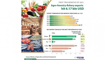 Agro-forestry-fishery exports hit 6.17 bln USD