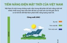 Tiềm năng trong lĩnh vực điện Mặt Trời của Việt Nam