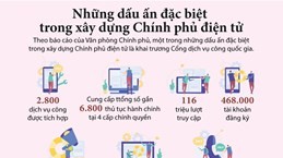 Những dấu ấn đặc biệt trong xây dựng Chính phủ điện tử