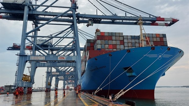 A container vessel at the Cai Mep-Thi Vai port complex (Photo: VNA)