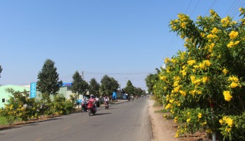 Phường 7: Giữ vững phường văn minh đô thị