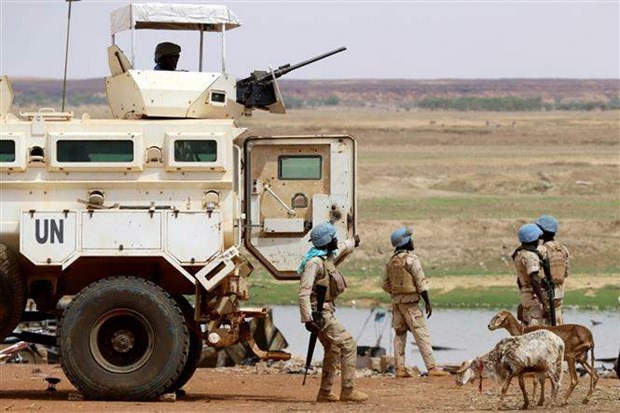 MINUSMA troops patrol in Gao, Mali. (Photo: AFP/VNA)