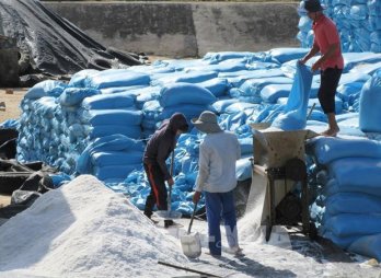 Vietnam salt company’s IPO surpasses plan