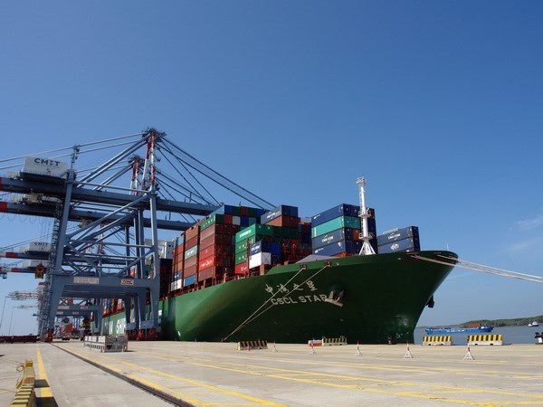 At the Cai Mep-Thi Vai port cluster in Ba Ria - Vung Tau (Photo: VNA)