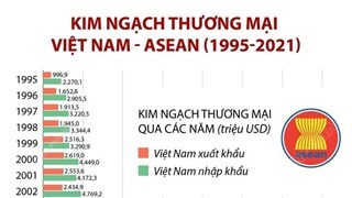 Kim ngạch thương mại giữa Việt Nam và ASEAN