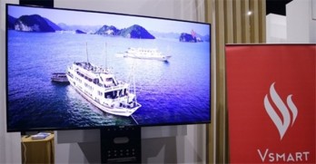 Television brands find Vietnamese market tough going