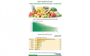 Fruit, vegetable export reaches 1.35 billion USD