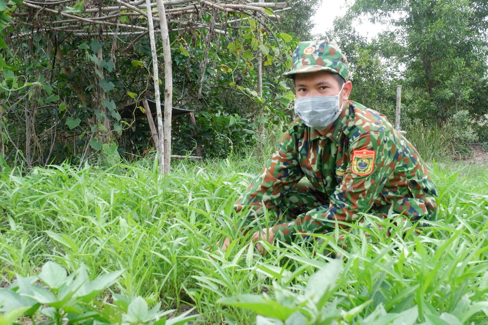 Trung úy Dương Văn Tặng gia tăng sản xuất tại chốt biên phòng