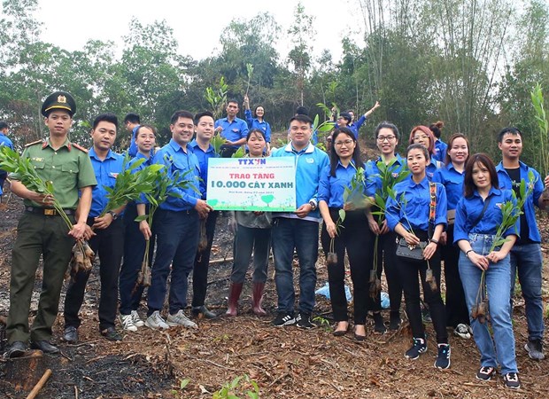 Vietnam News Agency's youth union members symbolically present 10,000 trees in response to Tree Planting New Year festival (Photo: VNA)