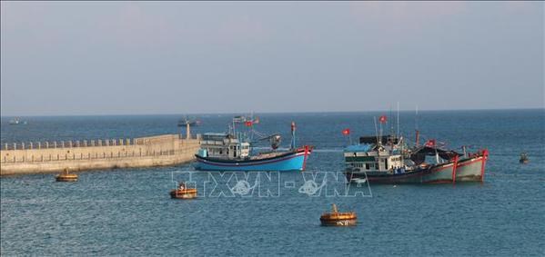 Dozens of fishing vessels dock in the shelter area of Da Tay A Reef (Photo: VNA)