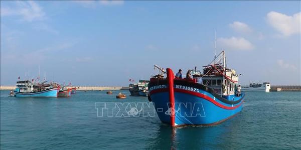 The boat from Ninh Thuan province is among nearly 100 Vietnamese fishing vessels docked in the shelter area of Da Tay A Reef (Photo: VNA)