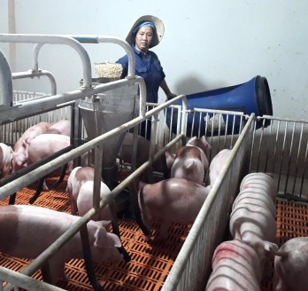 Pig-feeding developed towards biosecurity