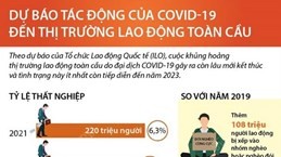 Dự báo tác động của COVID-19 đến thị trường lao động toàn cầu