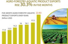 Agro-forestry-aquatic product exports rise over 30%