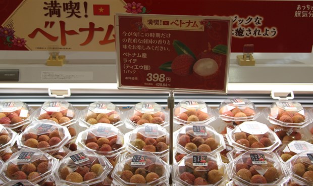 Vietnamese lychee has won preference in Japan. (Photo: VNA)