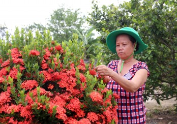 Chuyện về những người phụ nữ trung niên, độc thân