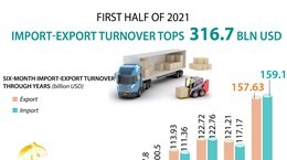 Import-export turnover tops 316.7 billion USD in H1