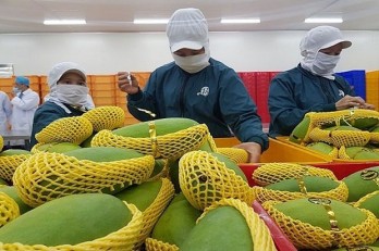 Fruit, vegetables exports to hit 4 billion USD