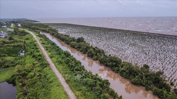 Mekong Delta Resilient Business Network debuts