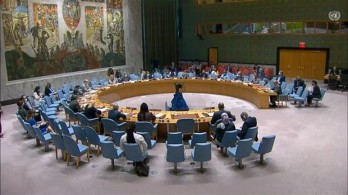 UNSC: Vietnam highly values UNAMID’s contributions