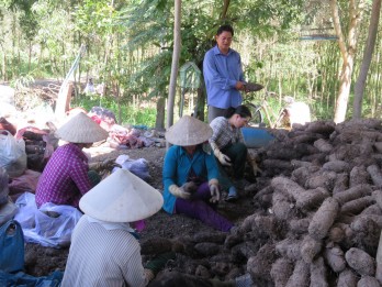 Ben Ke yam registered geographical indication