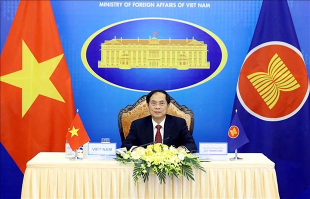 Vietnamese Minister of Foreign Affairs Bui Thanh Son (Photo: VNA)