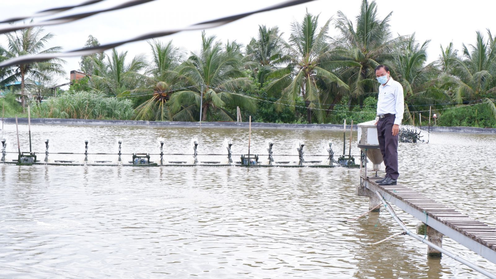 Shrimp-feeding farmers face many difficulties due to the temporary suspension of consumption at wholesale markets in Ho Chi Minh City