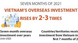 Vietnam's overseas investment rises by 2-3 times