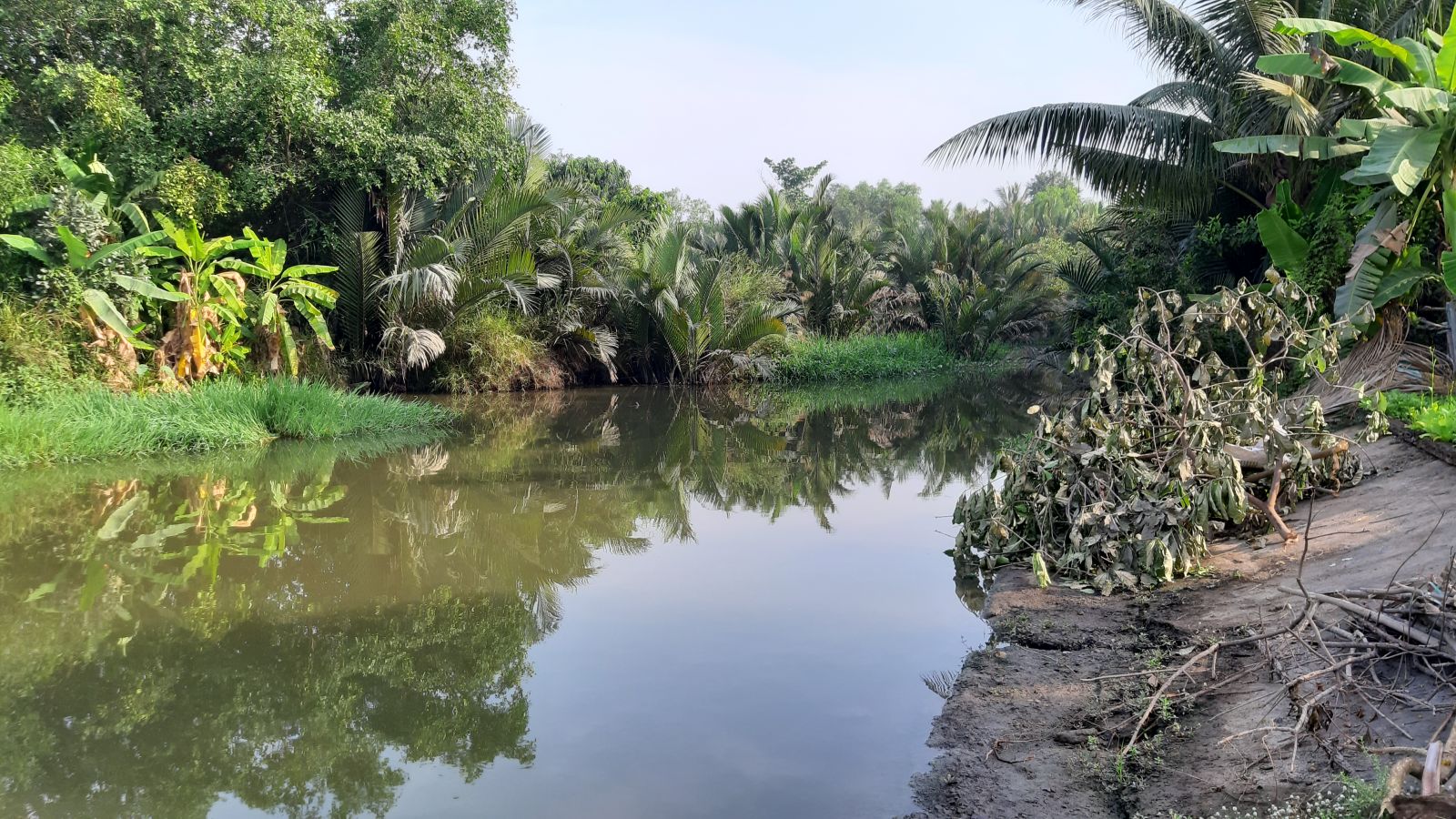 Hệ thống thủy lợi Nhựt Tảo - Tân Trụ góp phần ngăn mặn hiệu quả, phục vụ sản xuất