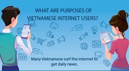 What are purposes of Vietnamese internet users?