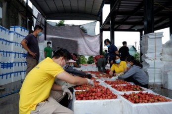 Vietnam aims to connect 5 million farming households to e-commerce platforms