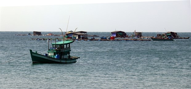 Marine fish are bred in floating cages in Kien Giang province’s Phu Quoc city. (Photo: VNA)