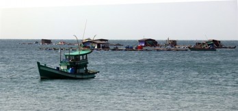 Sustainable agriculture: economic backbone of Mekong Delta province