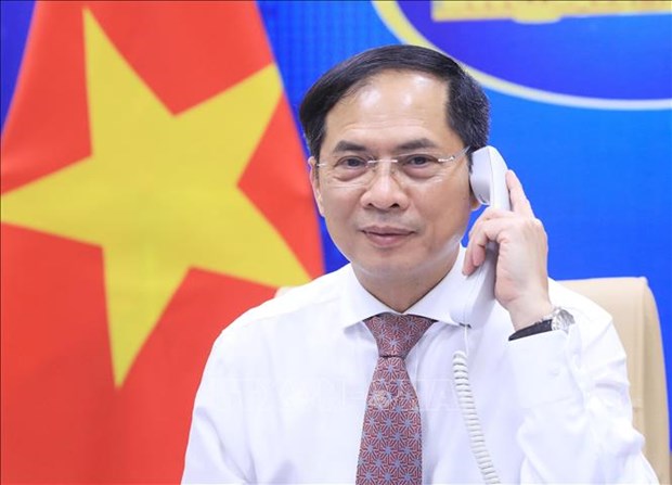 Foreign Minister Bui Thanh Son (Photo: VNA)