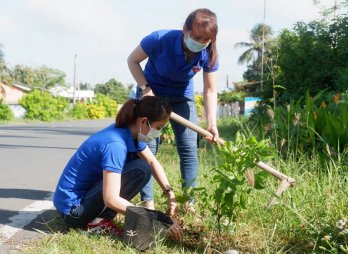 Phát huy sức trẻ chung tay xây dựng nông thôn mới