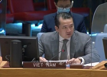 Vietnam condemns use of chemical weapons at UNSC discussion