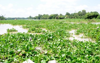 Dong Thap Muoi region: Localities are ready to respond to natural disasters