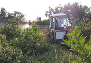 Vocational training for rural workers associated with models and projects on producting value chain