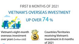 Vietnam’s overseas investment up over 74 percent