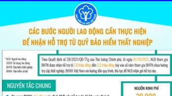 Các bước người lao động cần thực hiện để nhận tiền hỗ trợ từ quỹ Bảo hiểm thất nghiệp