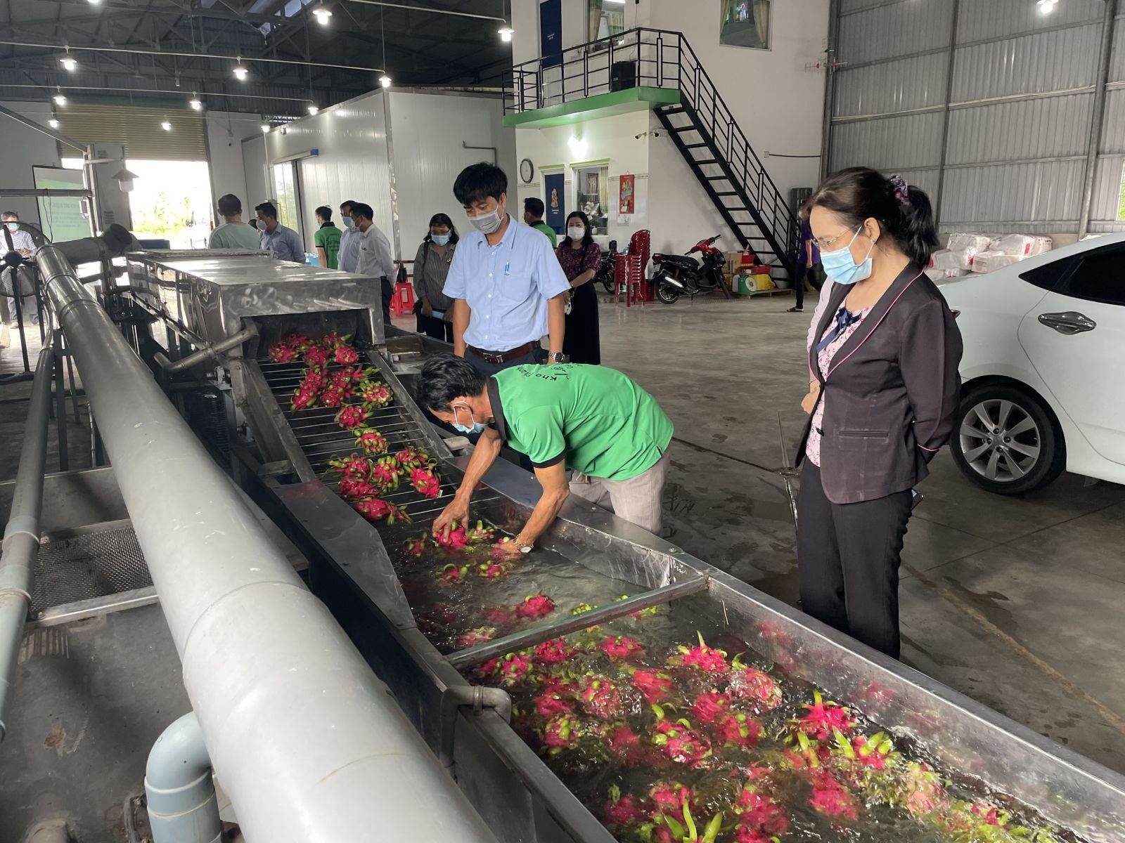 Accepting the operation process of dragon fruit washing machine