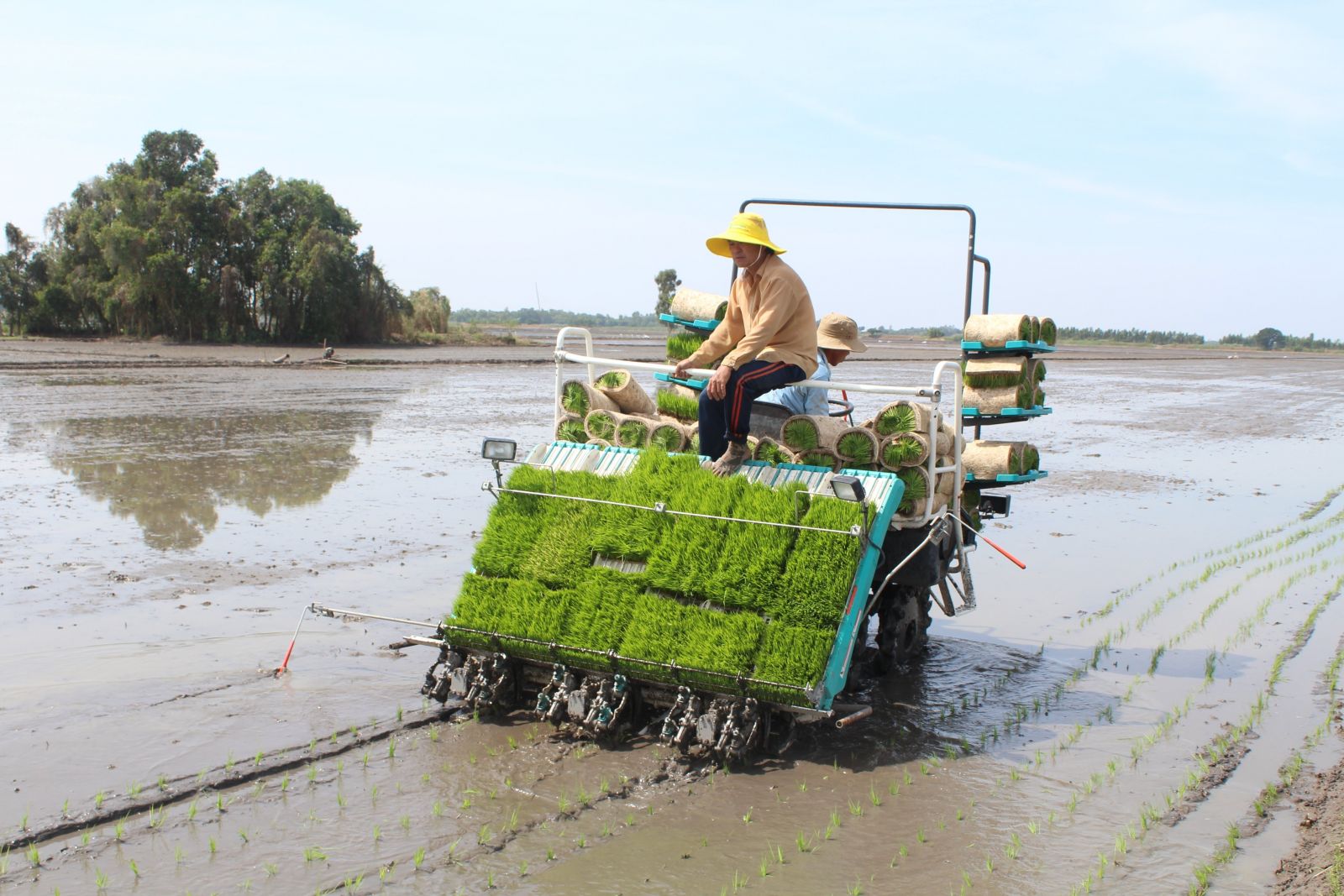 Người dân canh tác cần chủ động kết hợp áp dụng các biện pháp khoa học - kỹ thuật trong sản xuất để giảm chi phí đầu vào, tăng hiệu quả sản xuất