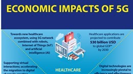 Economic impacts of 5G