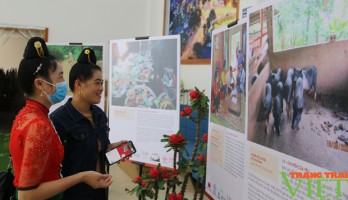 Artworks, photos on livestock husbandry on display