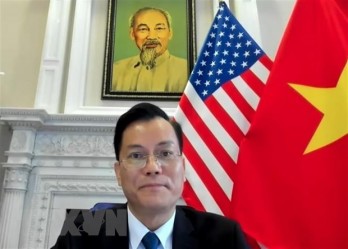 Vietnam welcomes US’s practical assistance for Mekong nations: ambassador