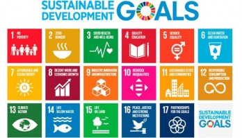 Vietnam needs stronger efforts to achieve SDGs: Workshop